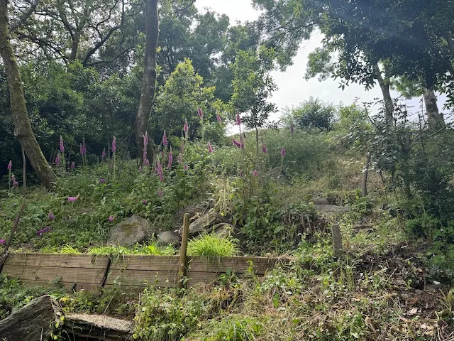 Terrain à bâtir avec vue dégagée sur la rivière à Château-Guibert 