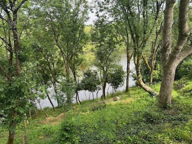 Terrain à bâtir avec vue dégagée sur la rivière à Château-Guibert 