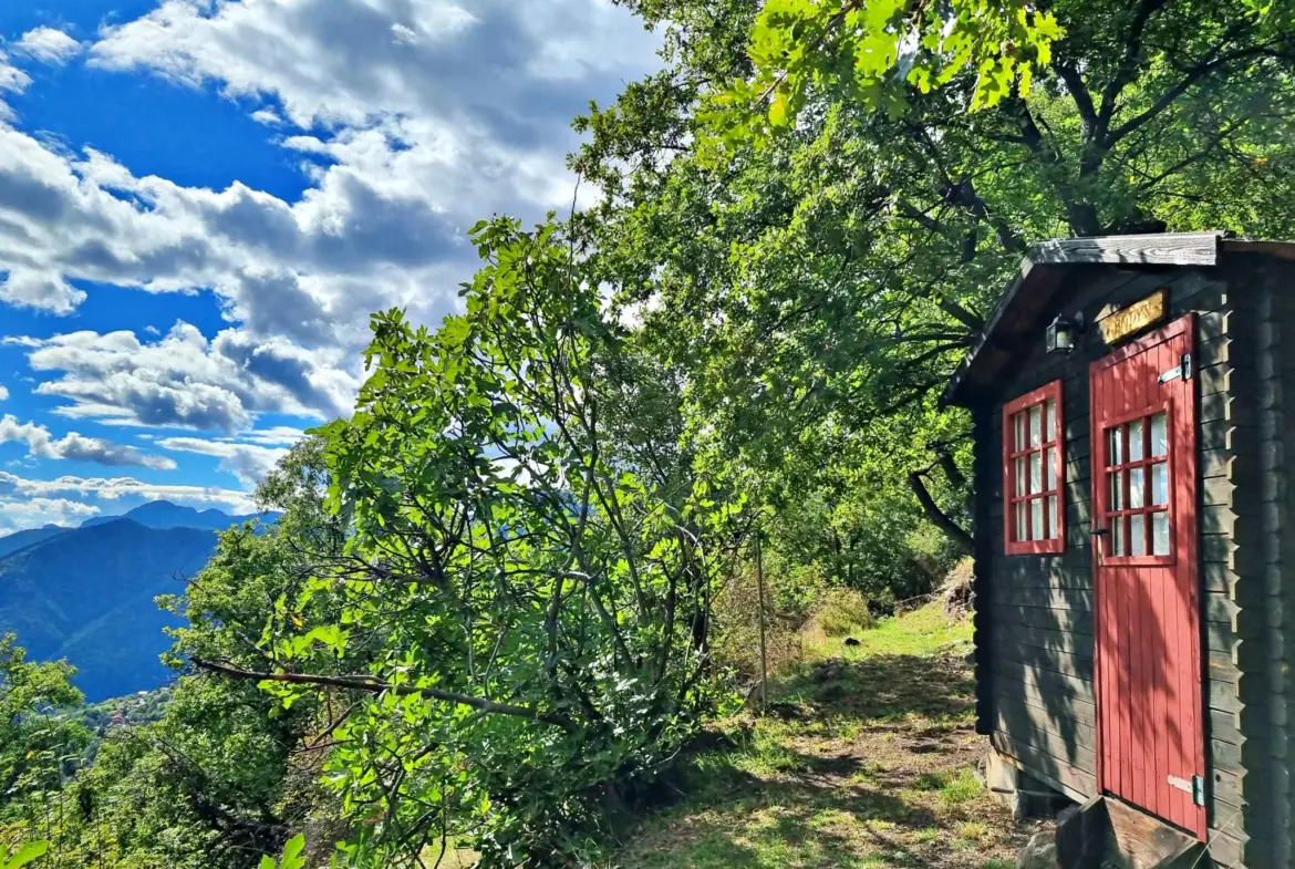 Terrain de Loisir de 1252 m2 aux Adrets, près de Belvédère 