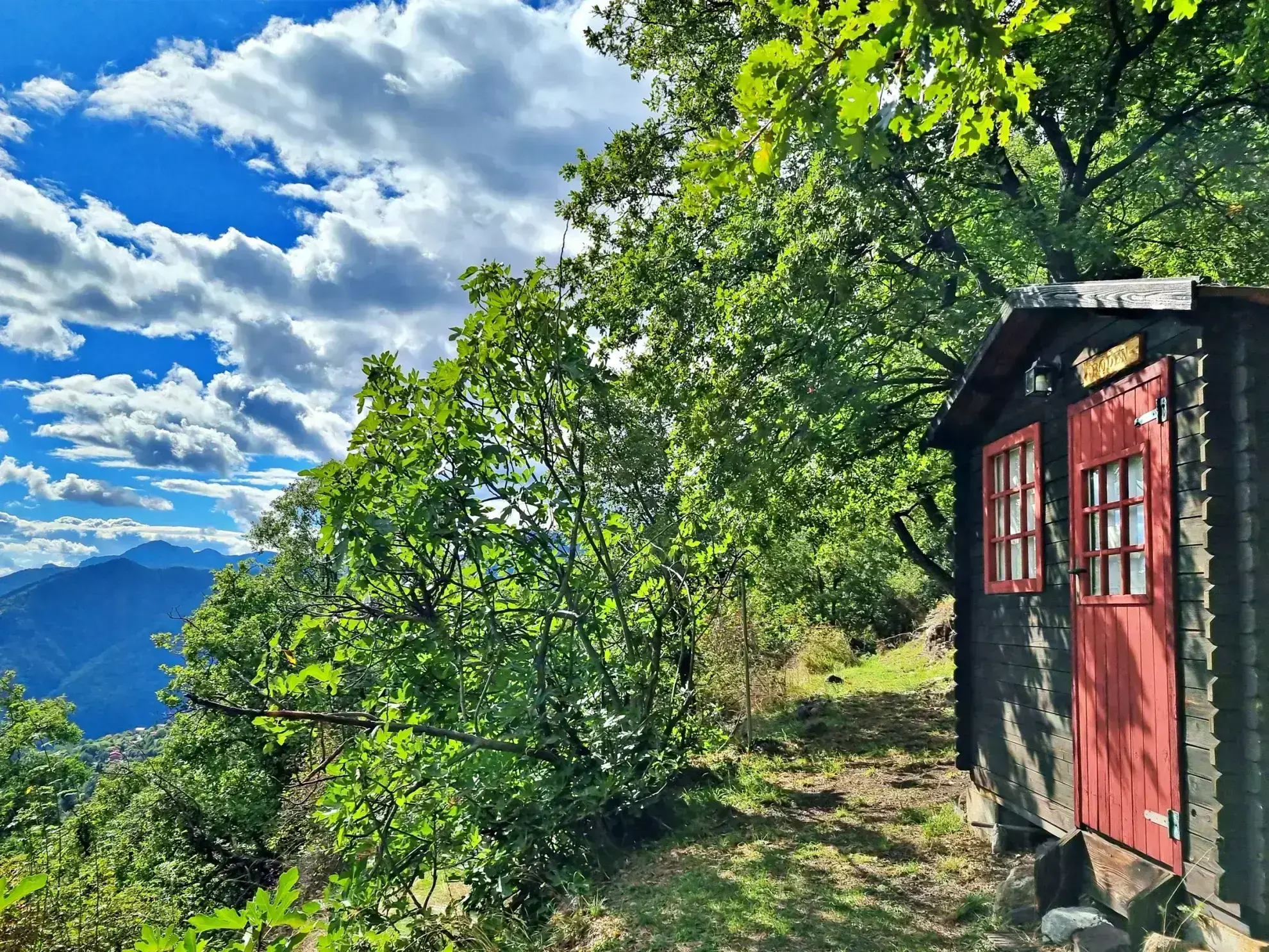 Terrain de Loisir de 1252 m2 aux Adrets, près de Belvédère 