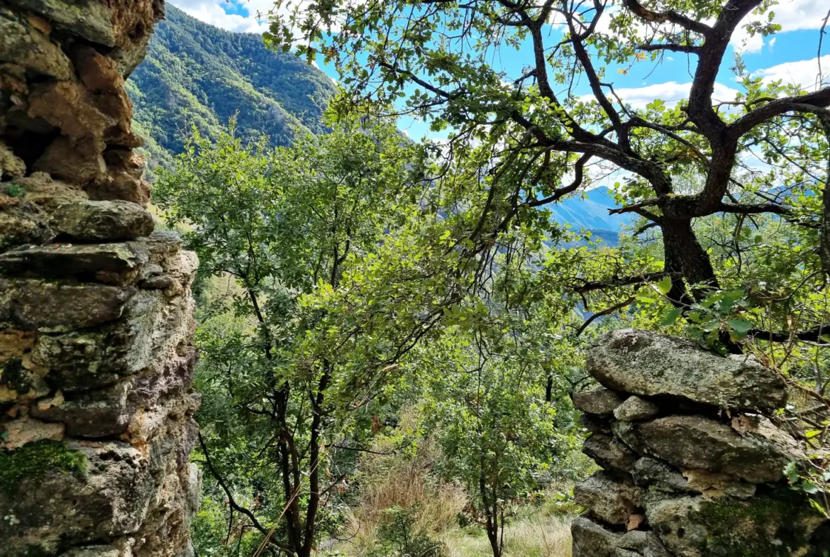 Terrain de Loisir de 1252 m2 aux Adrets, près de Belvédère 