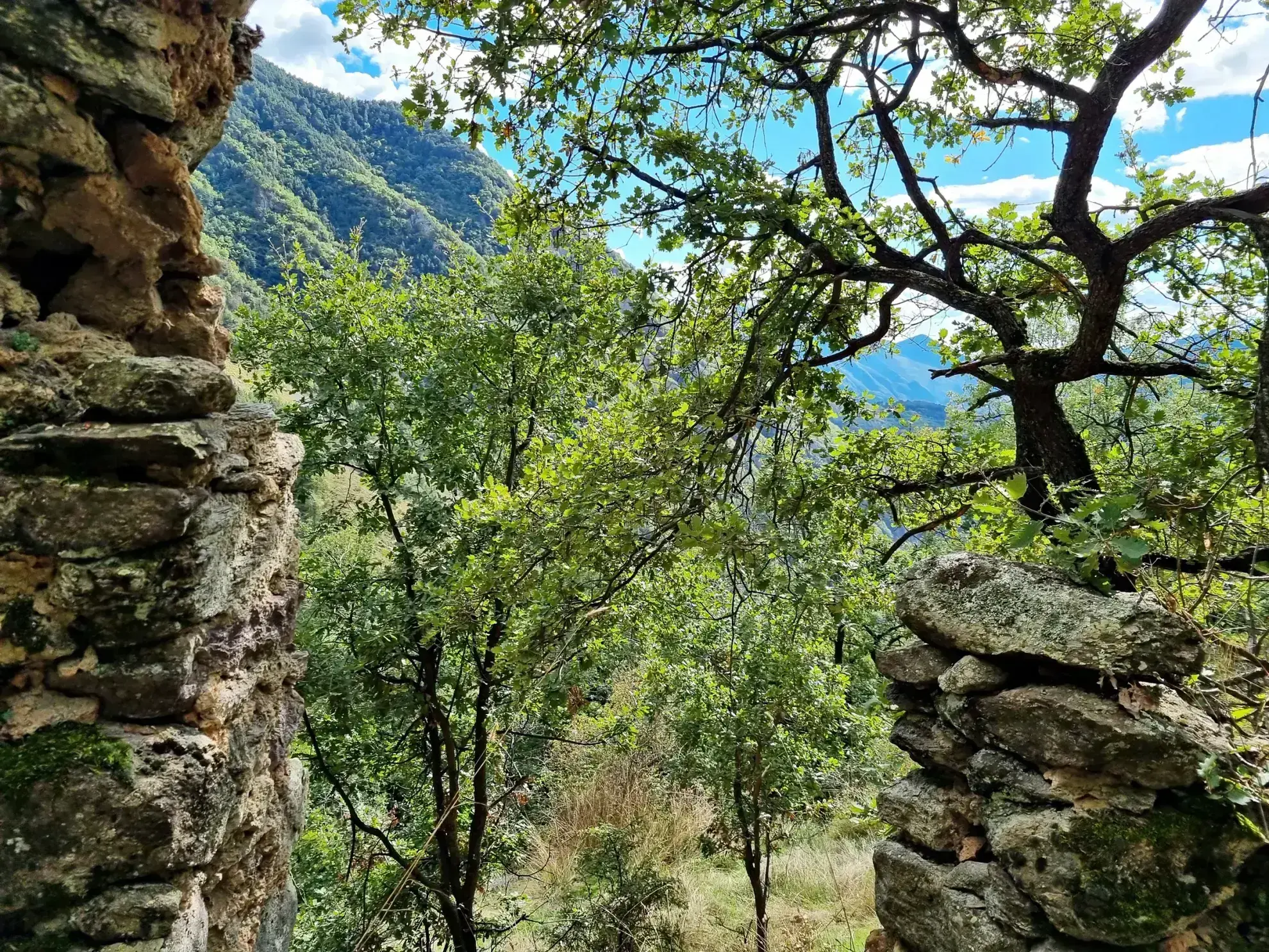 Terrain de Loisir de 1252 m2 aux Adrets, près de Belvédère 