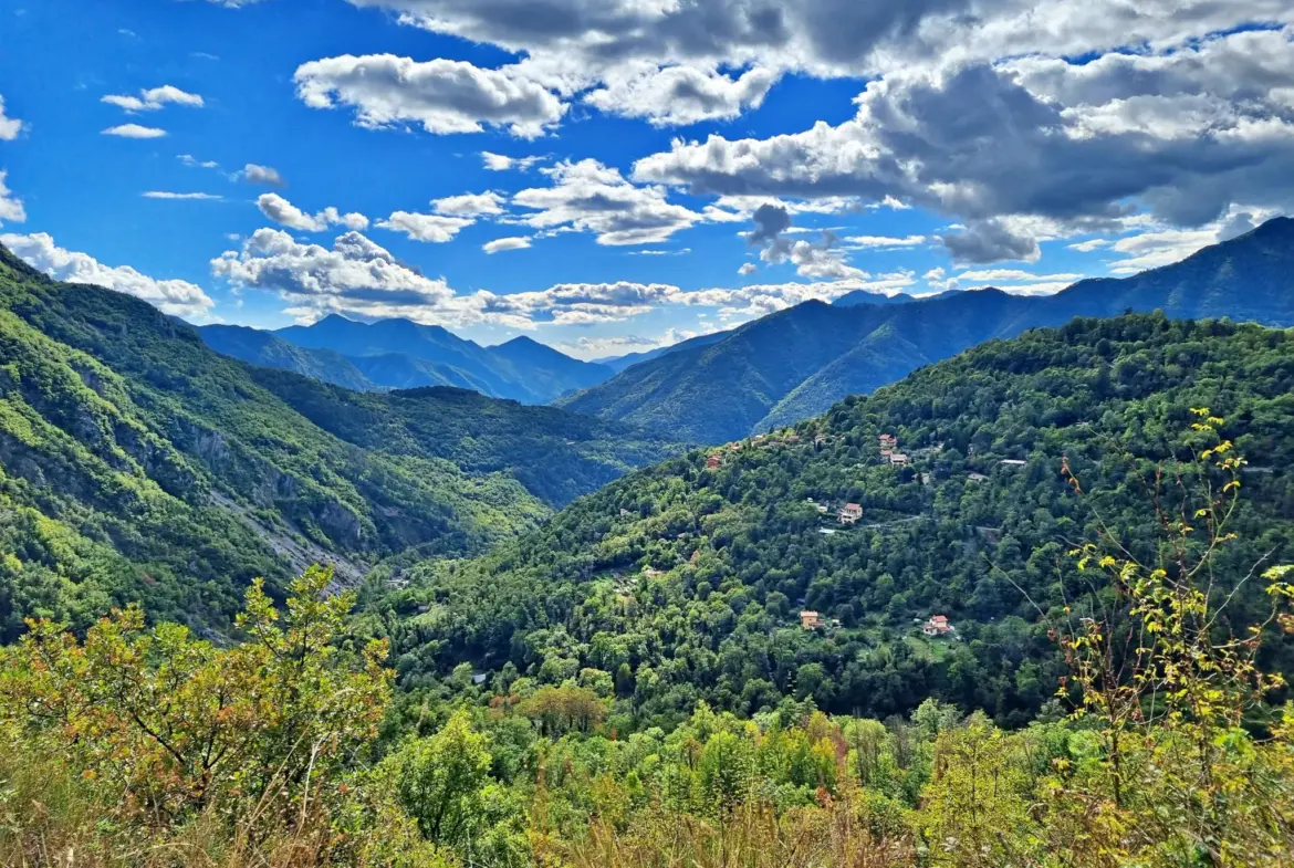 Terrain de Loisir de 1252 m2 aux Adrets, près de Belvédère 