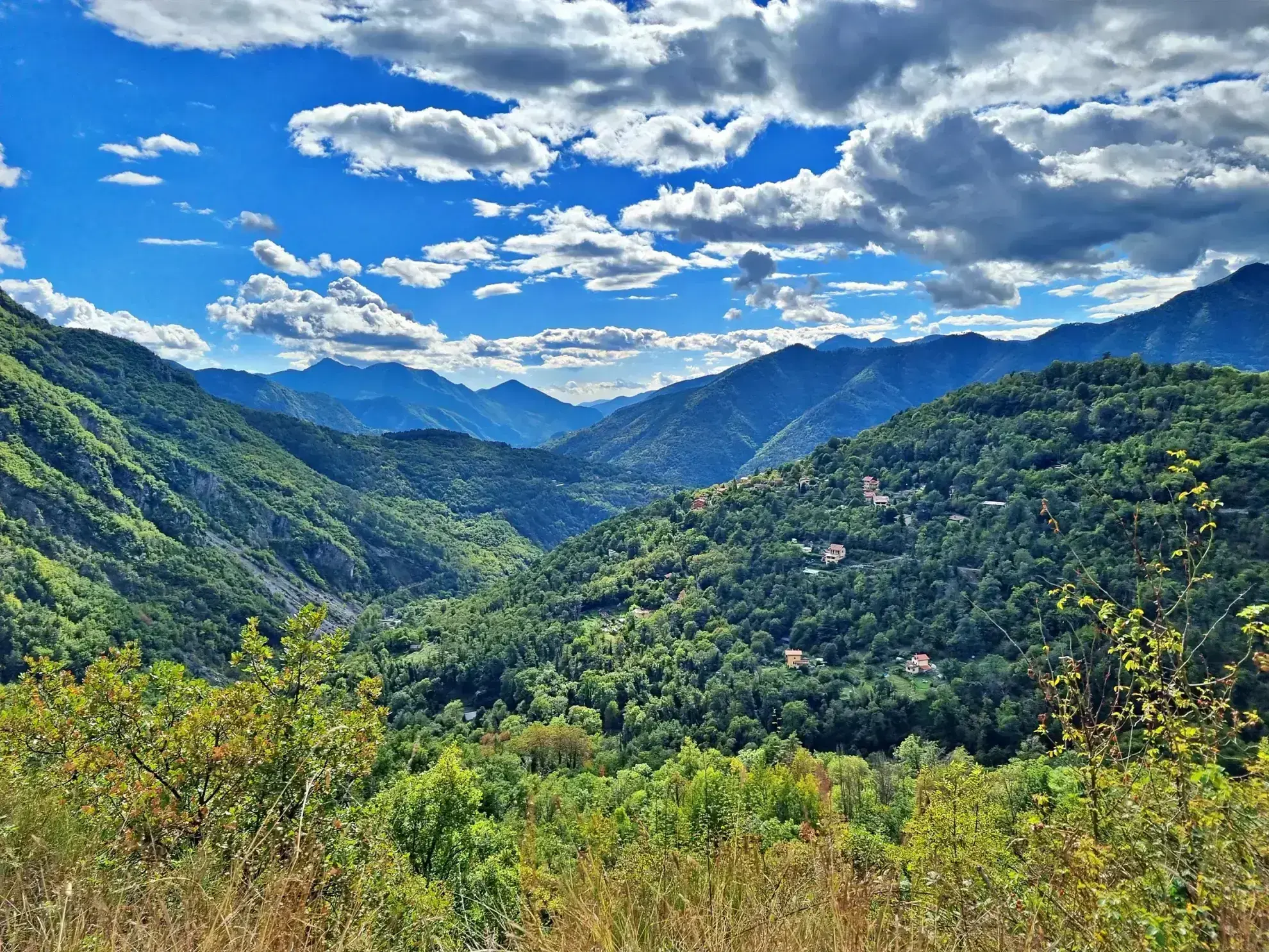 Terrain de Loisir de 1252 m2 aux Adrets, près de Belvédère 