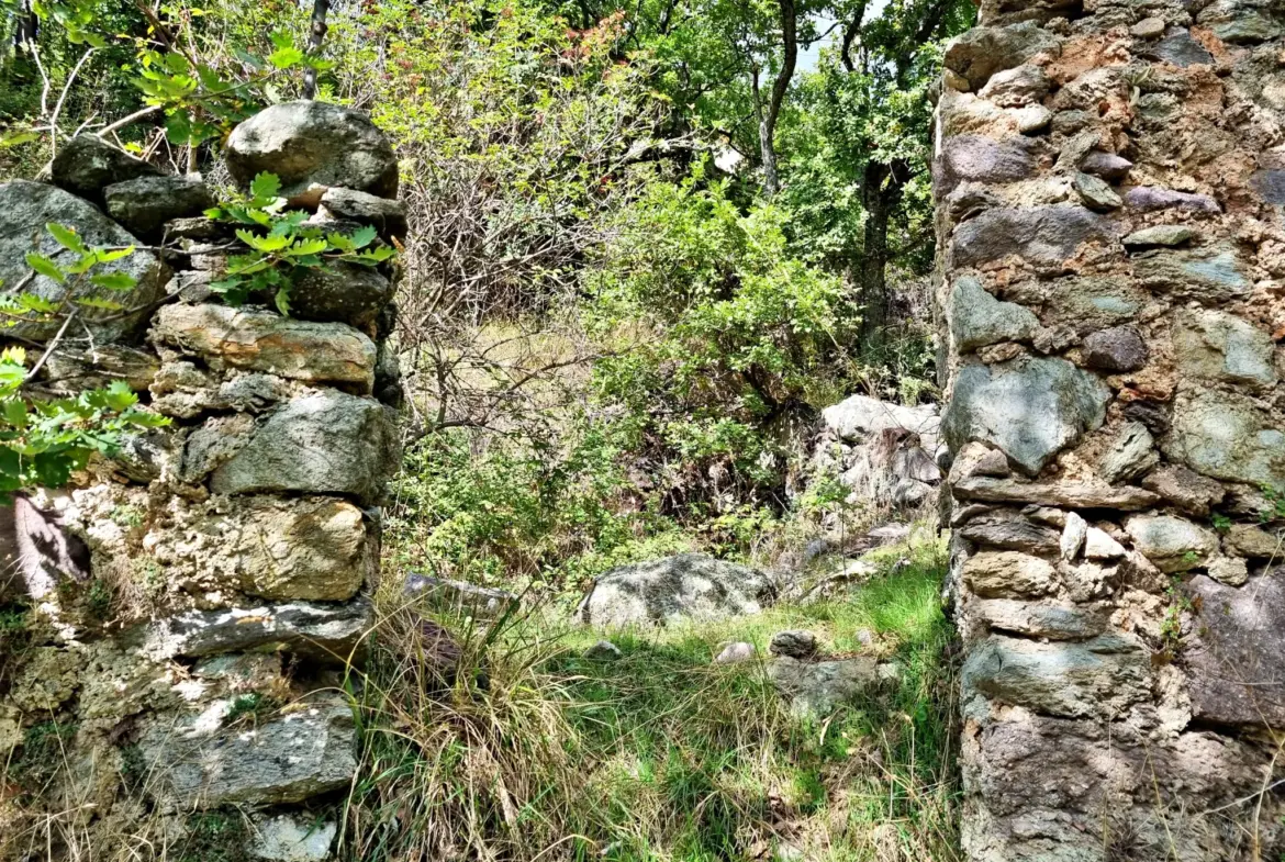 Terrain de Loisir de 1252 m2 aux Adrets, près de Belvédère 