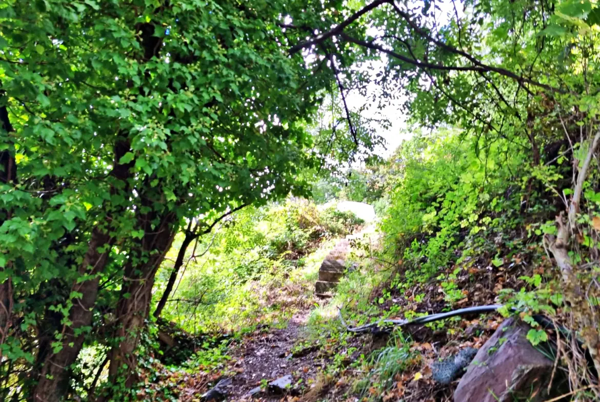 Terrain de Loisir de 1252 m2 aux Adrets, près de Belvédère 