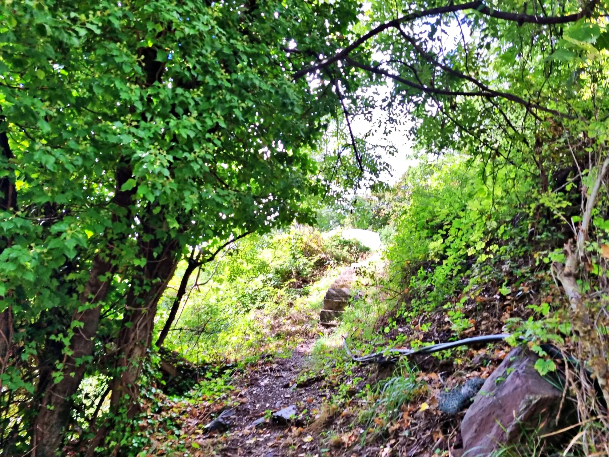 Terrain de Loisir de 1252 m2 aux Adrets, près de Belvédère 
