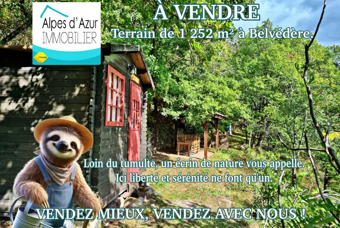 Terrain de Loisir de 1252 m2 aux Adrets, près de Belvédère 