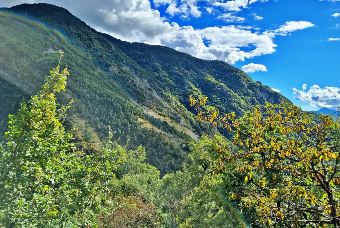 Terrain de Loisir de 1252 m2 aux Adrets, près de Belvédère 