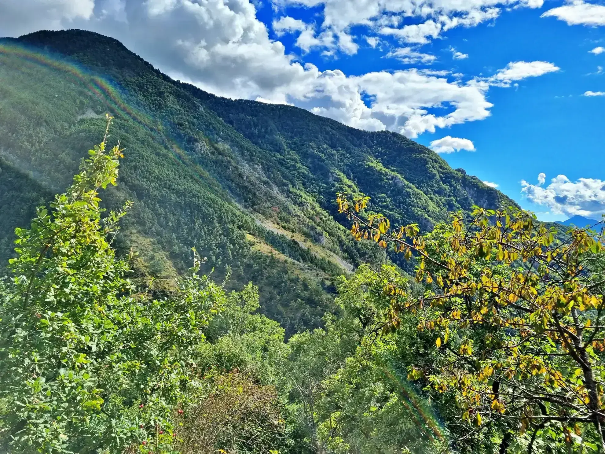 Terrain de Loisir de 1252 m2 aux Adrets, près de Belvédère 