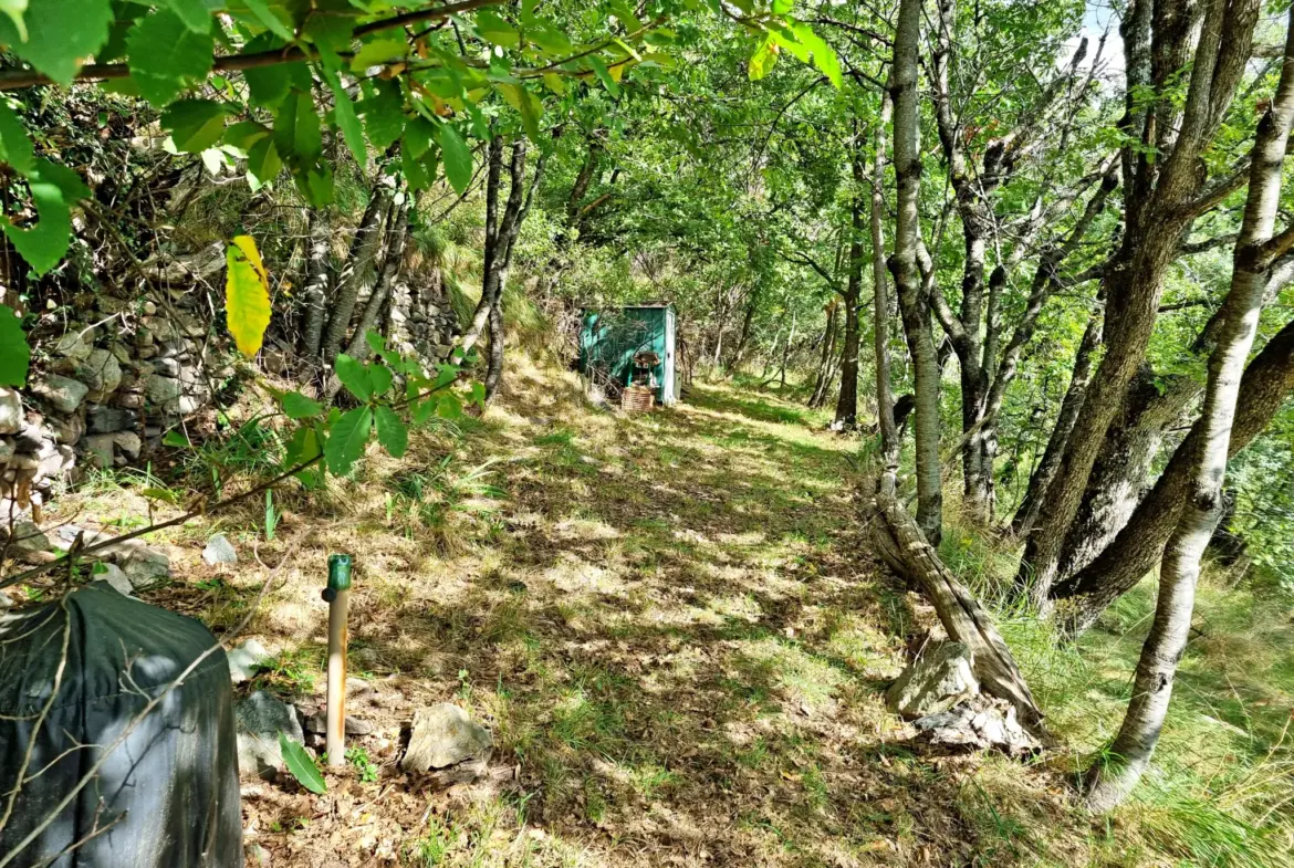 Terrain de Loisir de 1252 m2 aux Adrets, près de Belvédère 