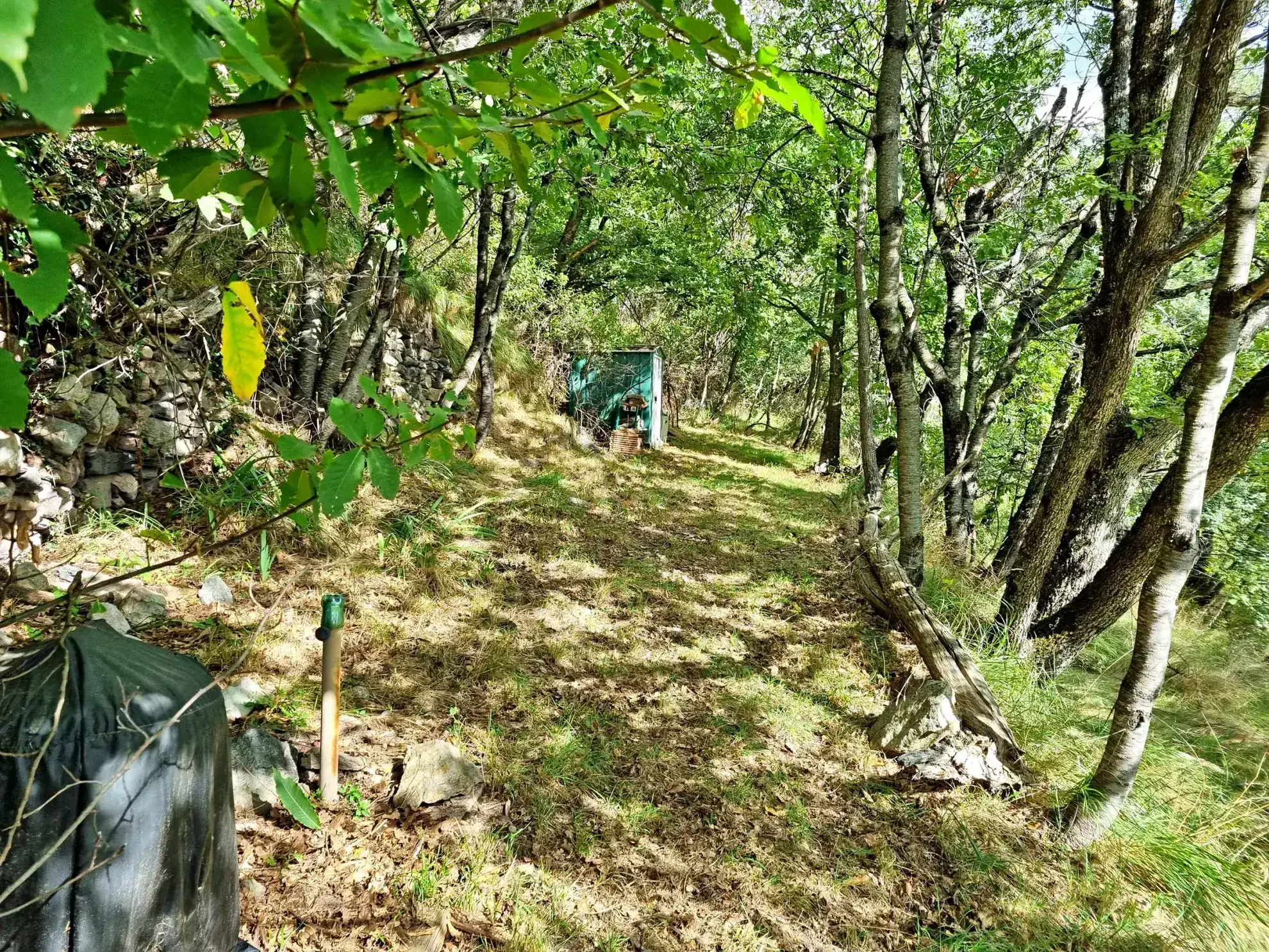 Terrain de Loisir de 1252 m2 aux Adrets, près de Belvédère 