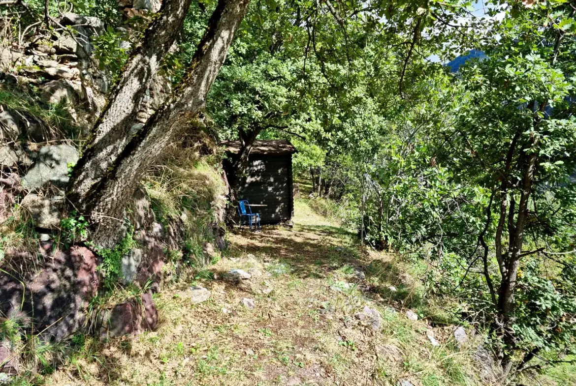 Terrain de Loisir de 1252 m2 aux Adrets, près de Belvédère 