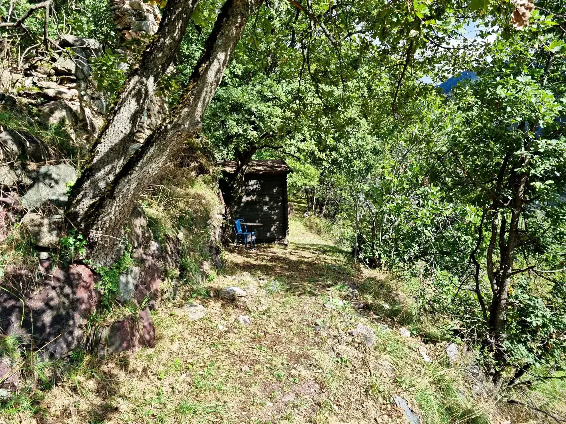 Terrain de Loisir de 1252 m2 aux Adrets, près de Belvédère 