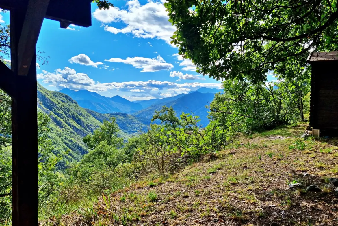 Terrain de Loisir de 1252 m2 aux Adrets, près de Belvédère 