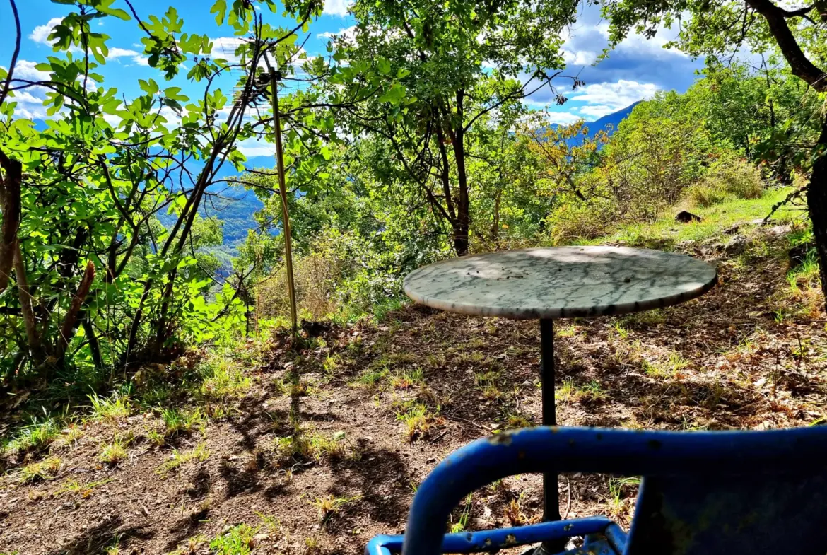Terrain de Loisir de 1252 m2 aux Adrets, près de Belvédère 
