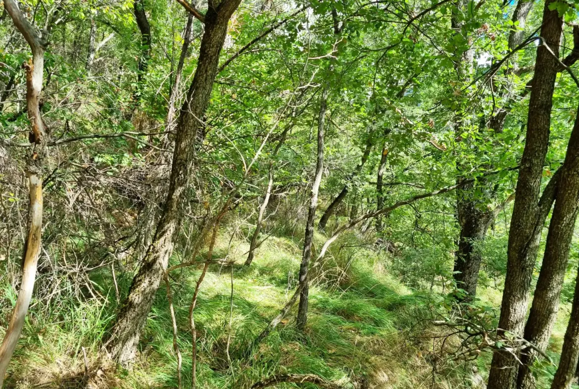 Terrain de Loisir de 1252 m2 aux Adrets, près de Belvédère 