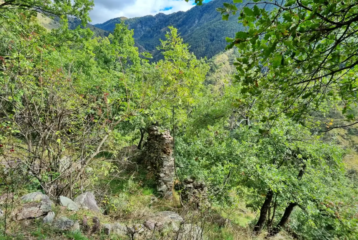 Terrain de Loisir de 1252 m2 aux Adrets, près de Belvédère 