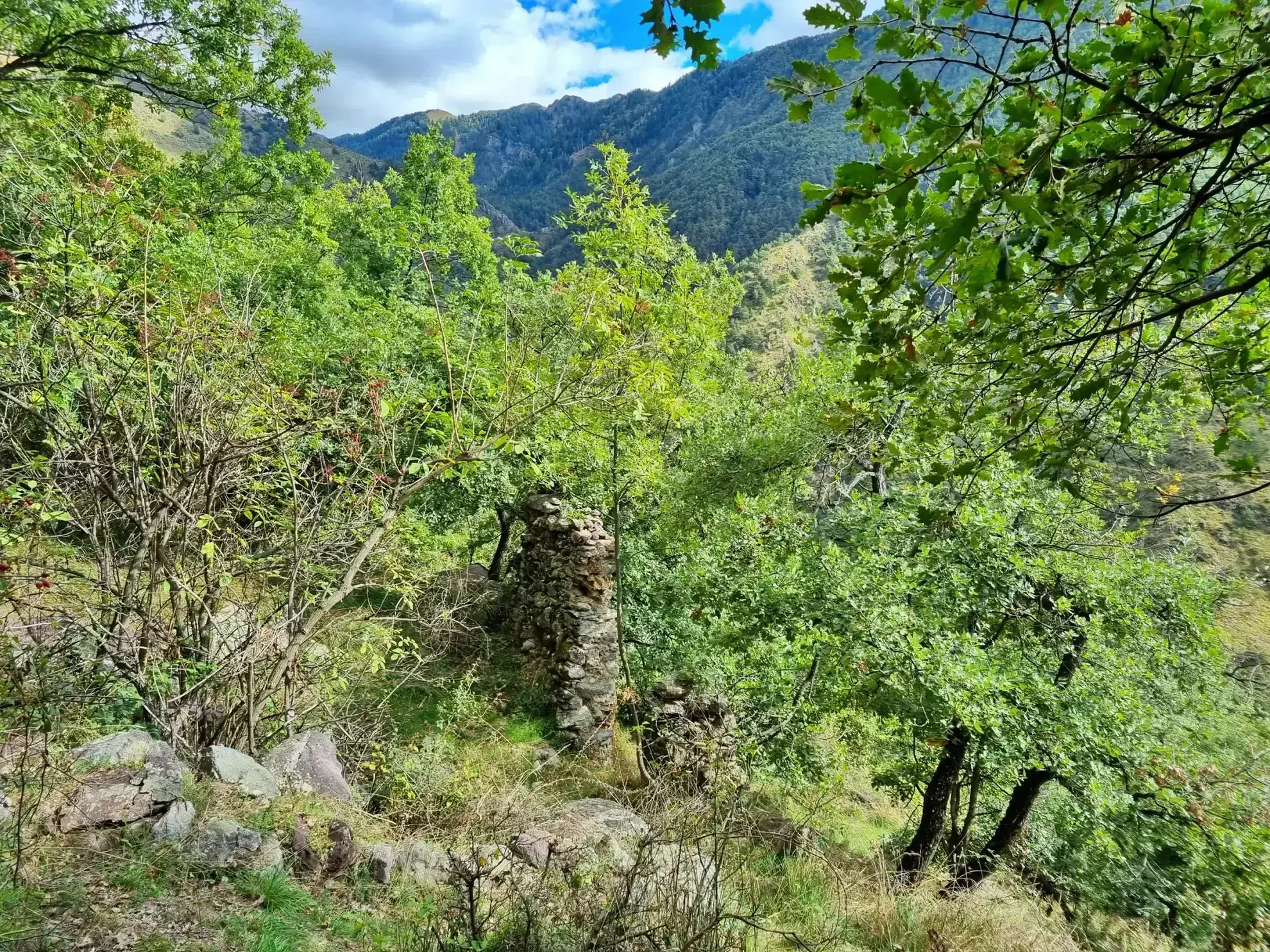 Terrain de Loisir de 1252 m2 aux Adrets, près de Belvédère 