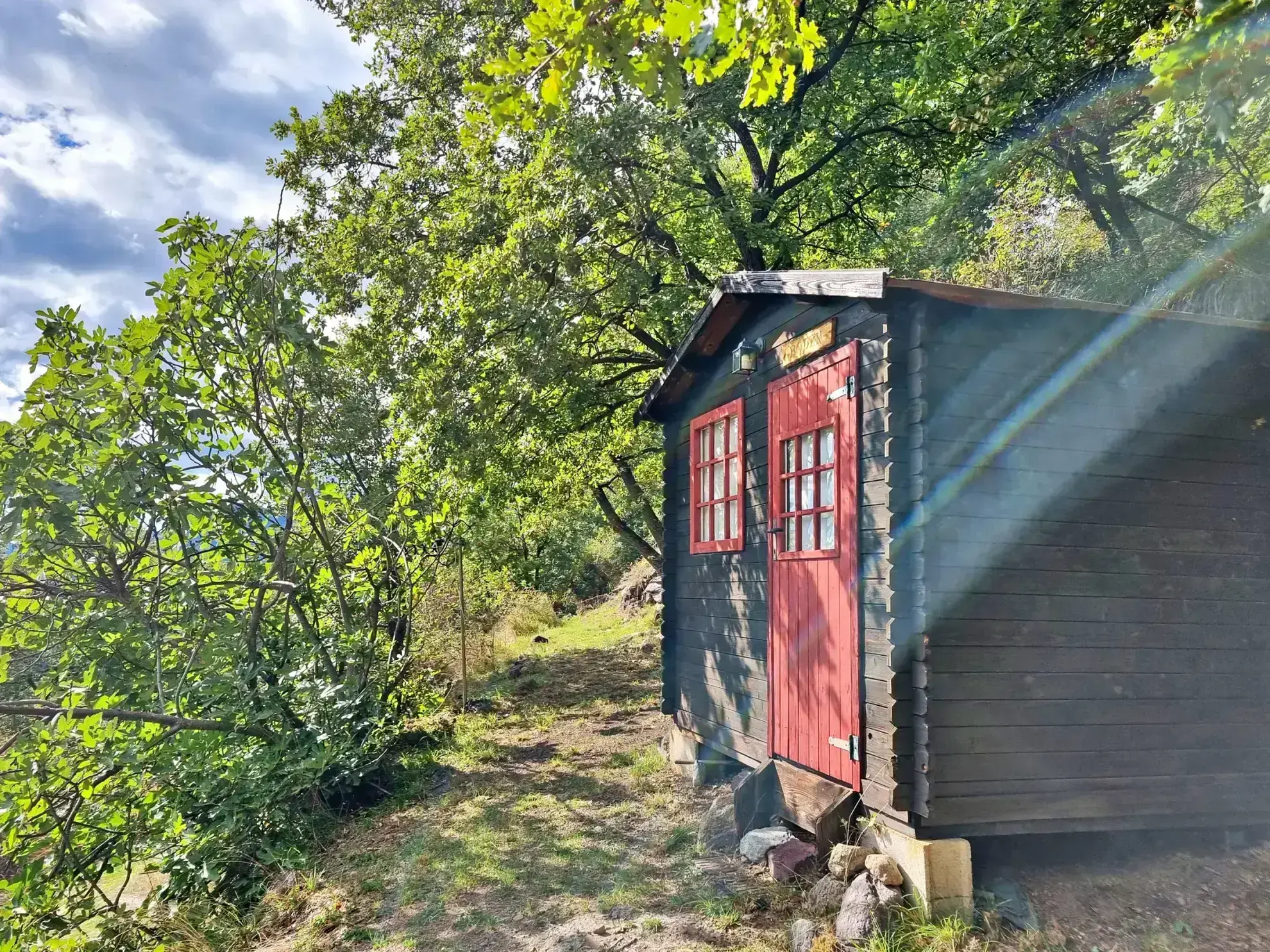 Terrain de Loisir de 1252 m2 aux Adrets, près de Belvédère 