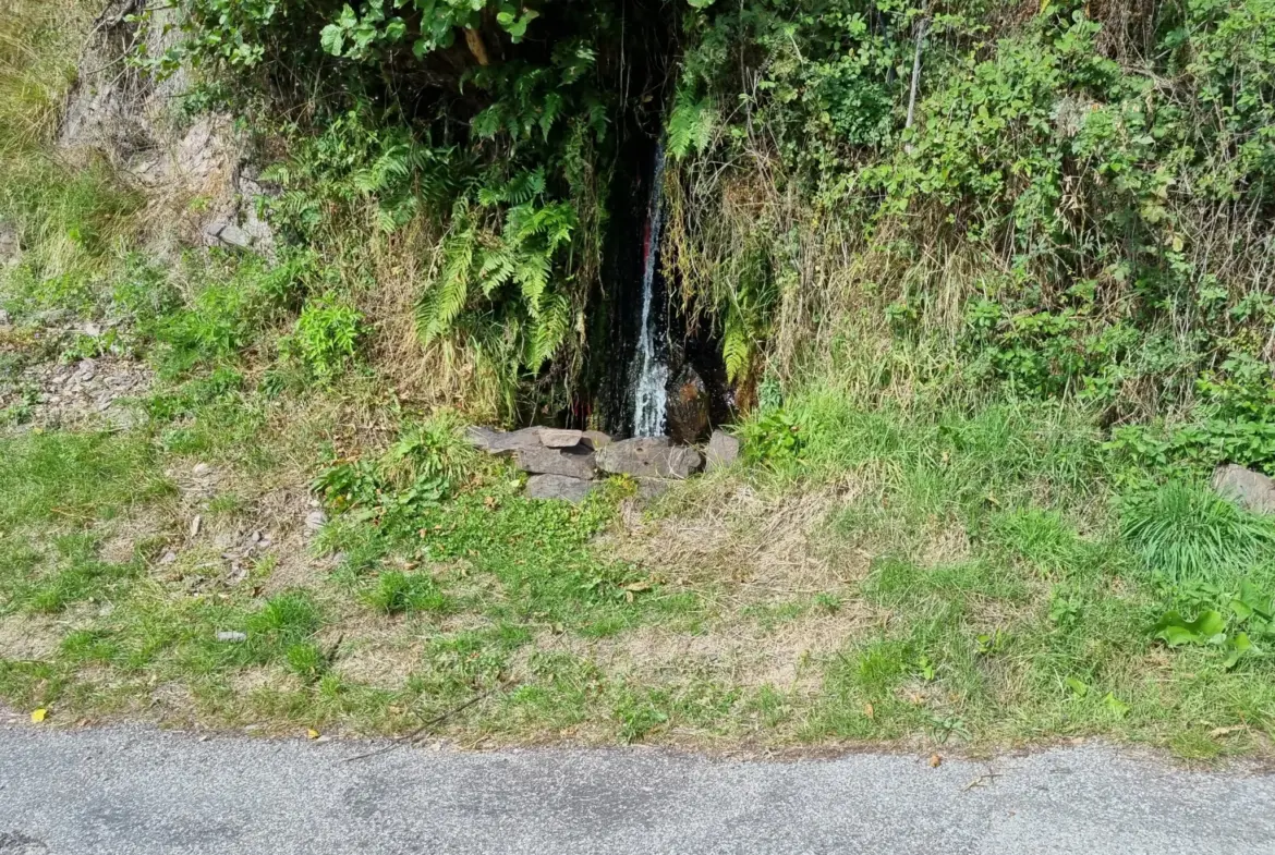 Terrain de Loisir de 1252 m2 aux Adrets, près de Belvédère 
