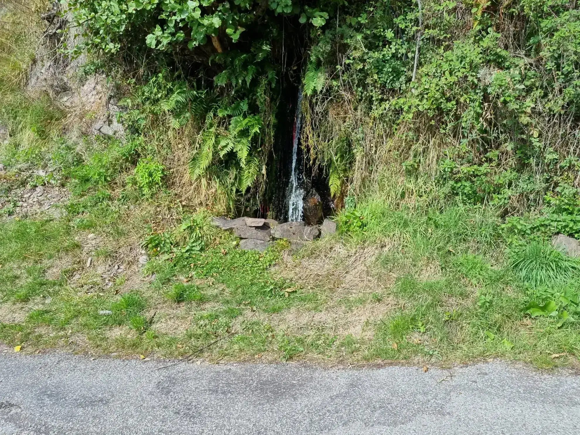 Terrain de Loisir de 1252 m2 aux Adrets, près de Belvédère 