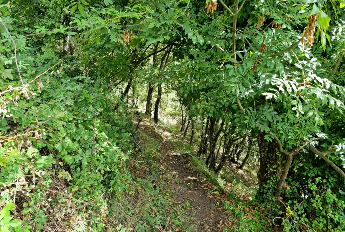Terrain de Loisir de 1252 m2 aux Adrets, près de Belvédère 