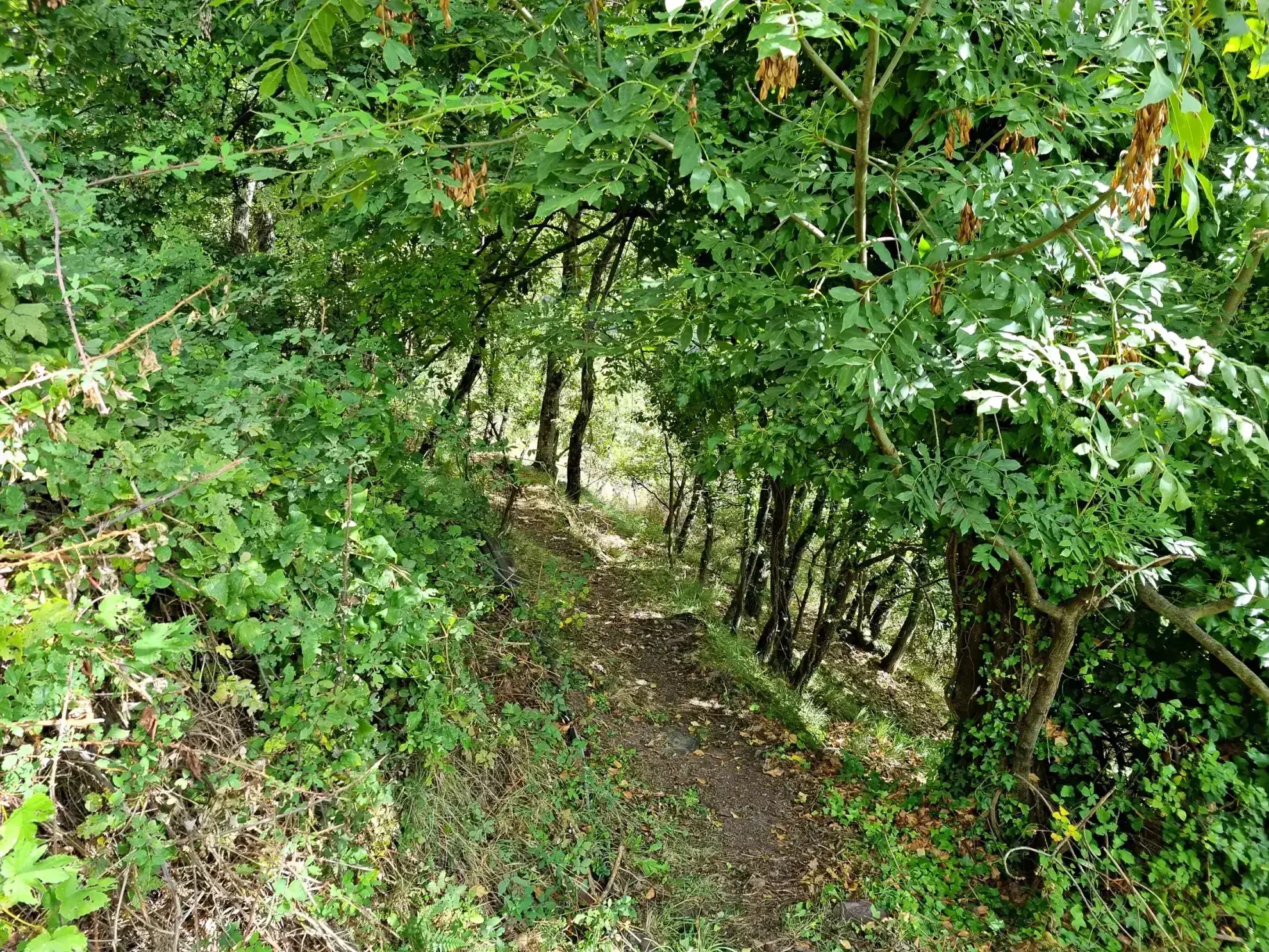 Terrain de Loisir de 1252 m2 aux Adrets, près de Belvédère 