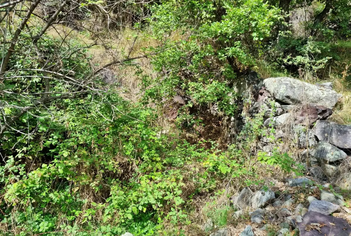 Terrain de Loisir de 1252 m2 aux Adrets, près de Belvédère 