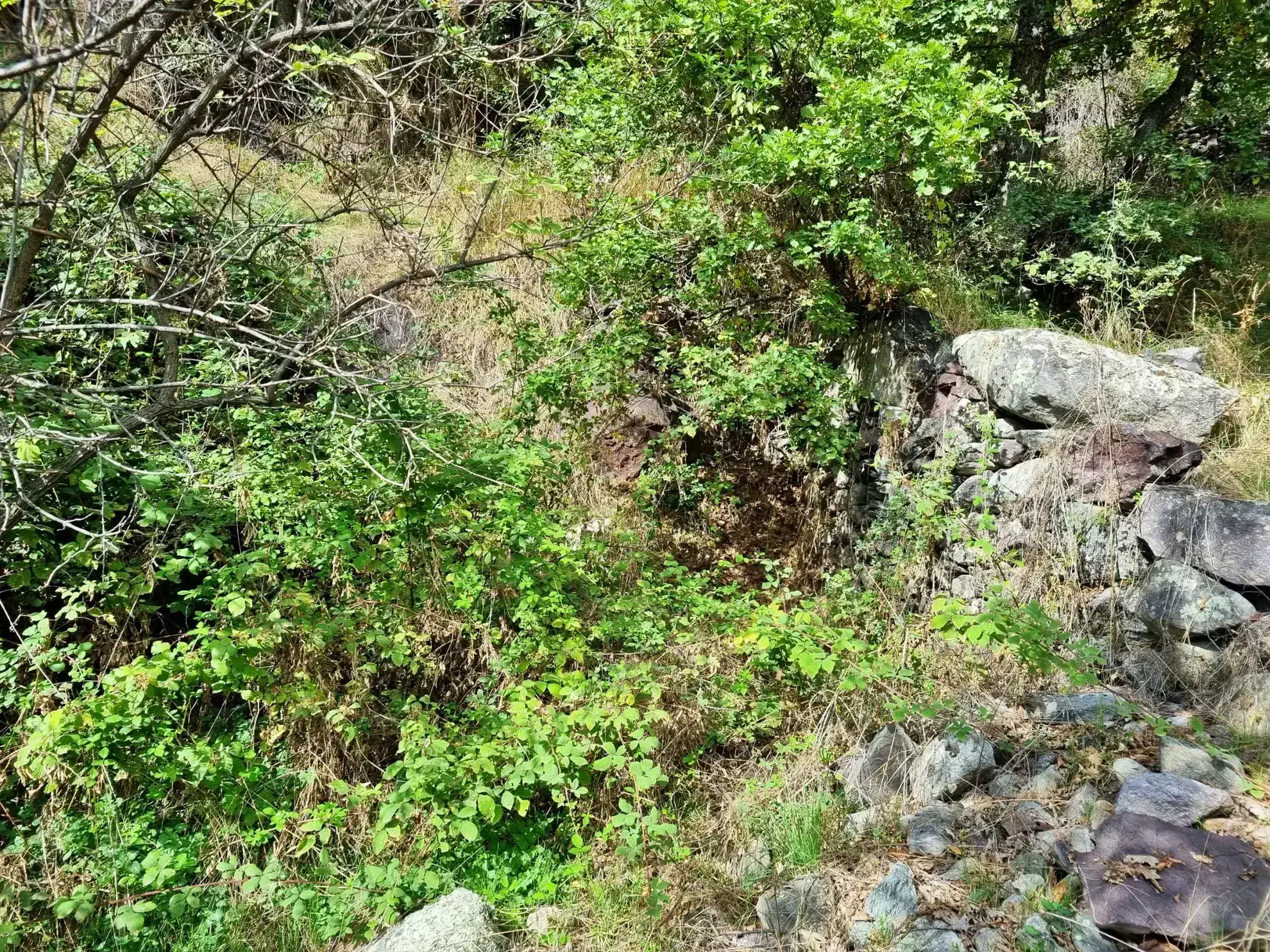 Terrain de Loisir de 1252 m2 aux Adrets, près de Belvédère 
