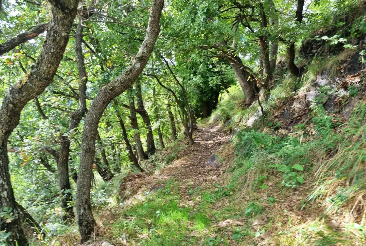Terrain de Loisir de 1252 m2 aux Adrets, près de Belvédère 