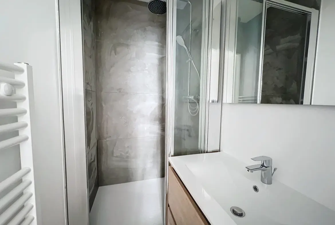 Appartement 1 pièce rénové à vendre à Villefranche-sur-Saône 