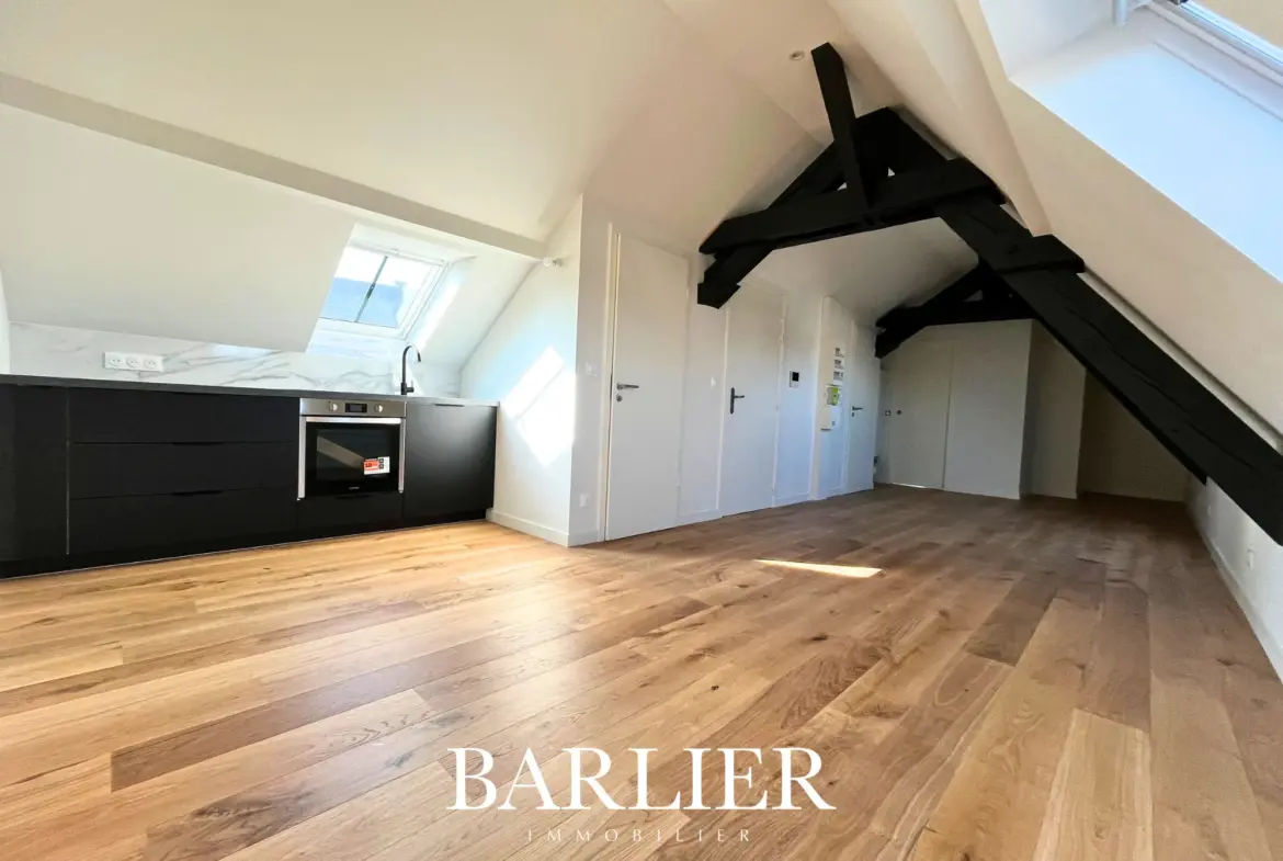 À vendre : Appartement 2 pièces rénové au Quartier des Musiciens, Strasbourg 