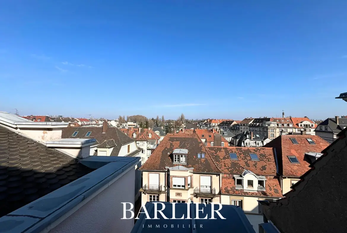 À vendre : Appartement 2 pièces rénové au Quartier des Musiciens, Strasbourg 