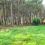 Terrain à Bâtir de 5395 m² à Saint-Germain-du-Salembre