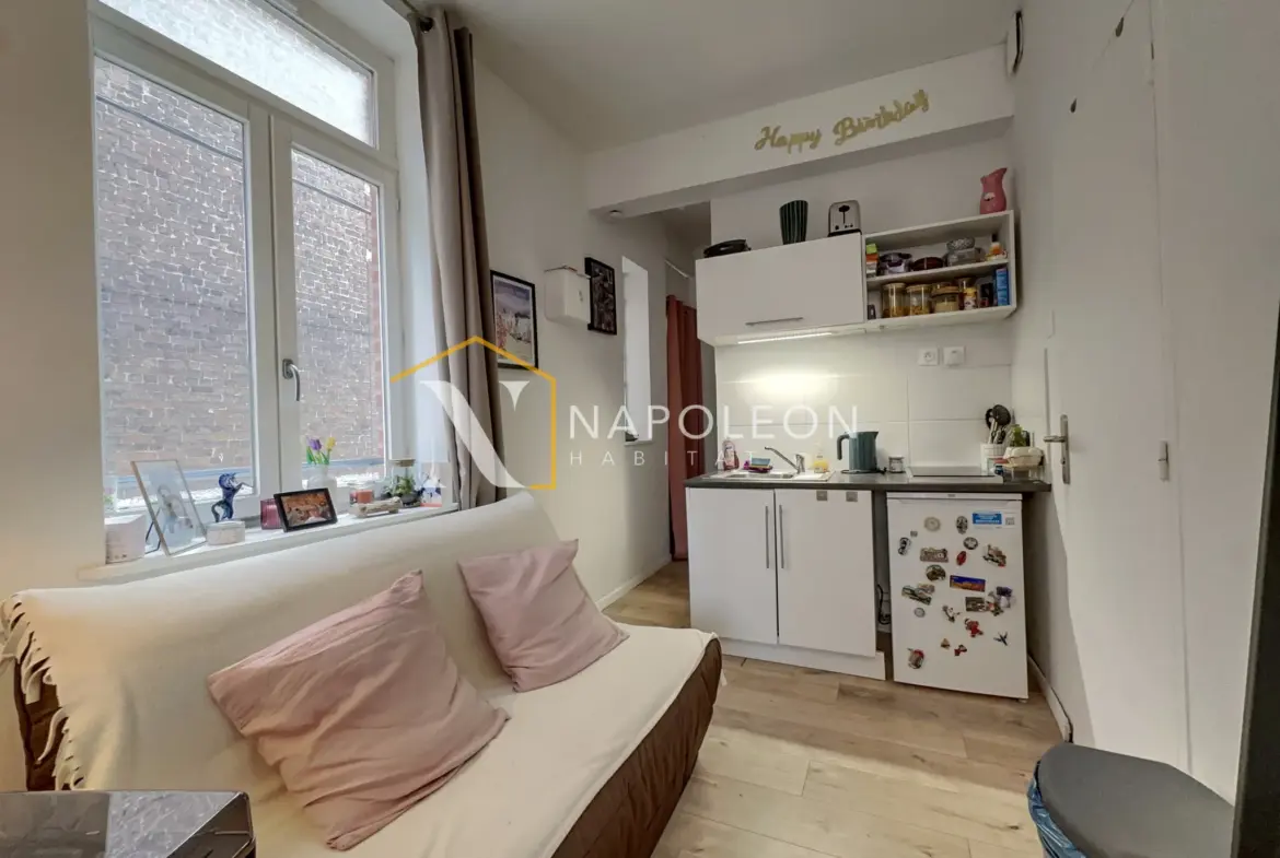 Charmant T1 idéal investisseur à Lille 