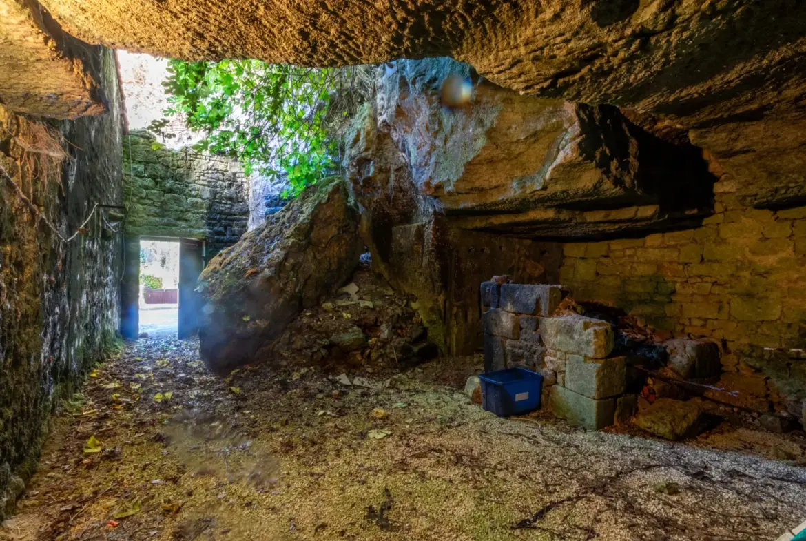 Maison ancienne charmante à Saint-Savinien avec cour et grotte 