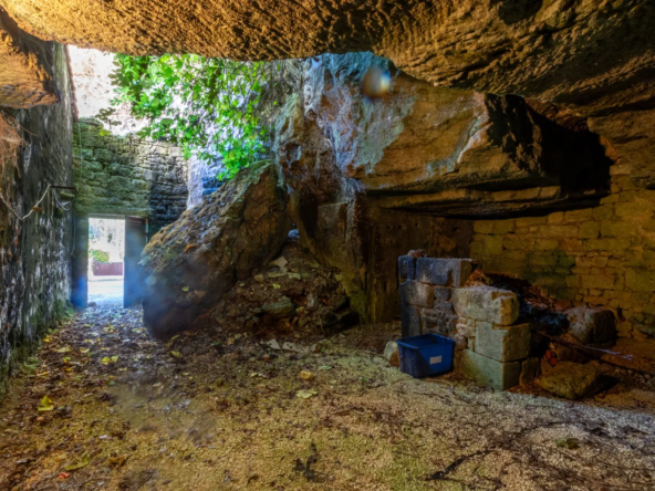 Maison ancienne charmante à Saint-Savinien avec cour et grotte 