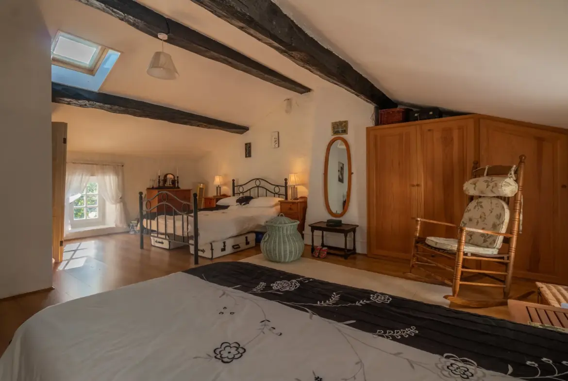 Maison ancienne charmante à Saint-Savinien avec cour et grotte 