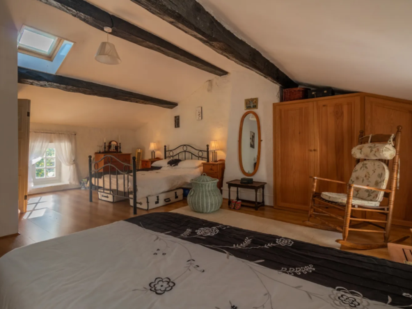 Maison ancienne charmante à Saint-Savinien avec cour et grotte 