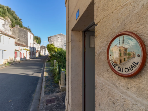 Maison ancienne charmante à Saint-Savinien avec cour et grotte 