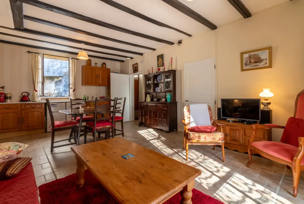 Maison ancienne charmante à Saint-Savinien avec cour et grotte 