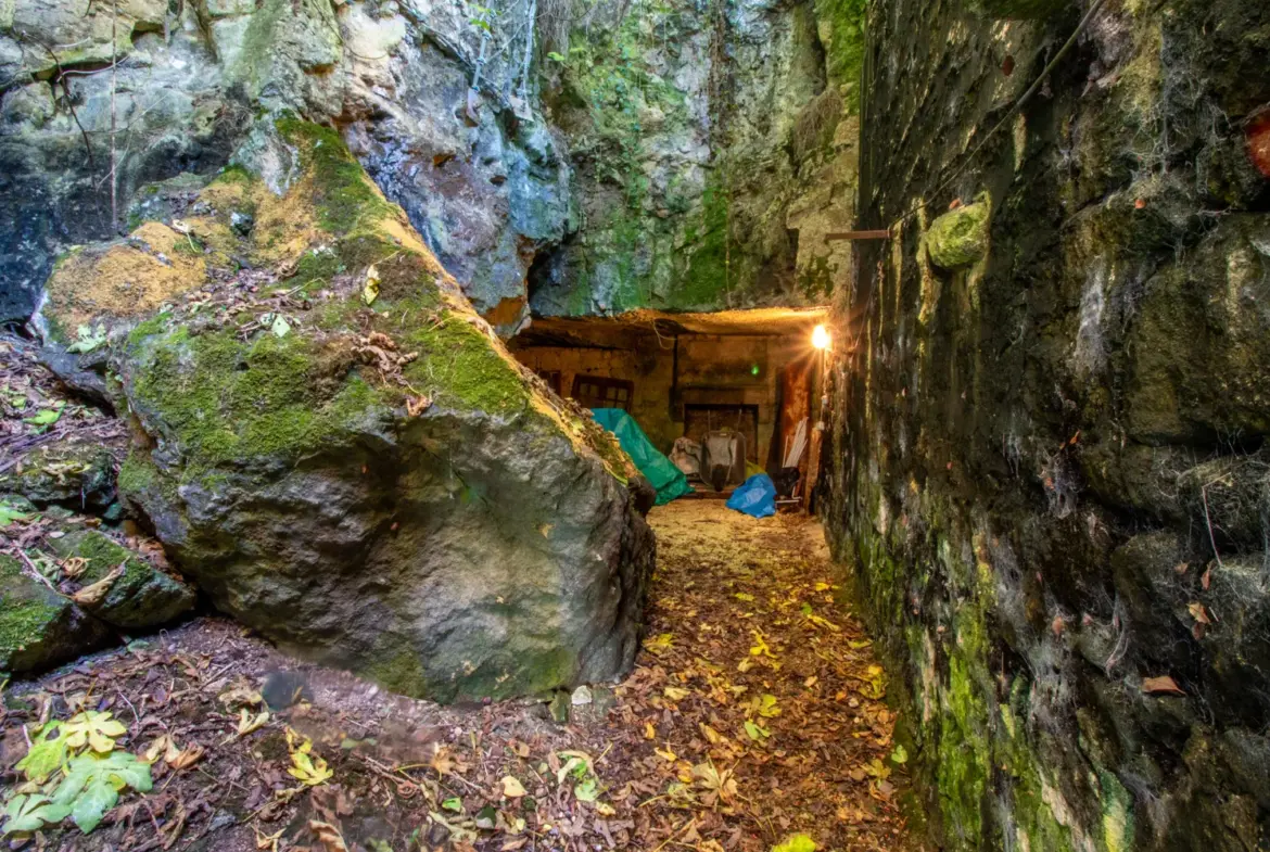 Maison ancienne charmante à Saint-Savinien avec cour et grotte 