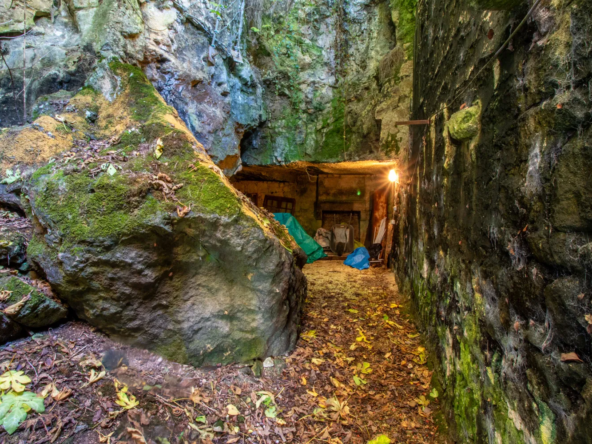Maison ancienne charmante à Saint-Savinien avec cour et grotte 