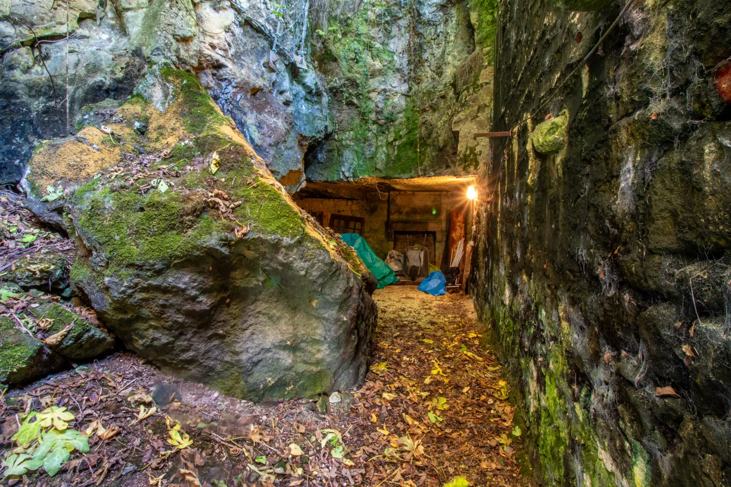 Maison ancienne charmante à Saint-Savinien avec cour et grotte 