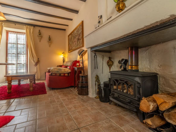 Maison ancienne charmante à Saint-Savinien avec cour et grotte 