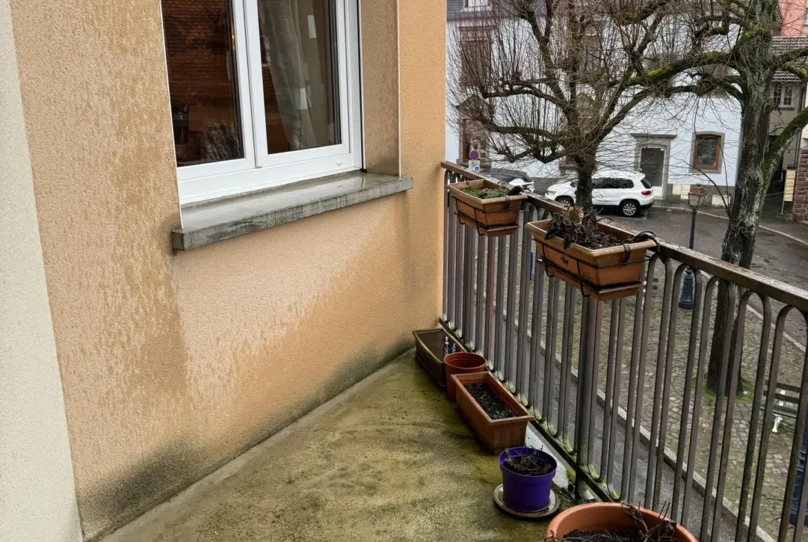 Appartement 3 pièces à Saverne - Centre-ville 