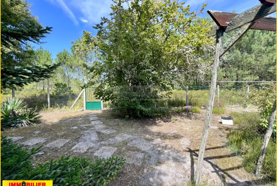 Maison en bois type chalet avec garage à Saint-Michel de Rieufret 