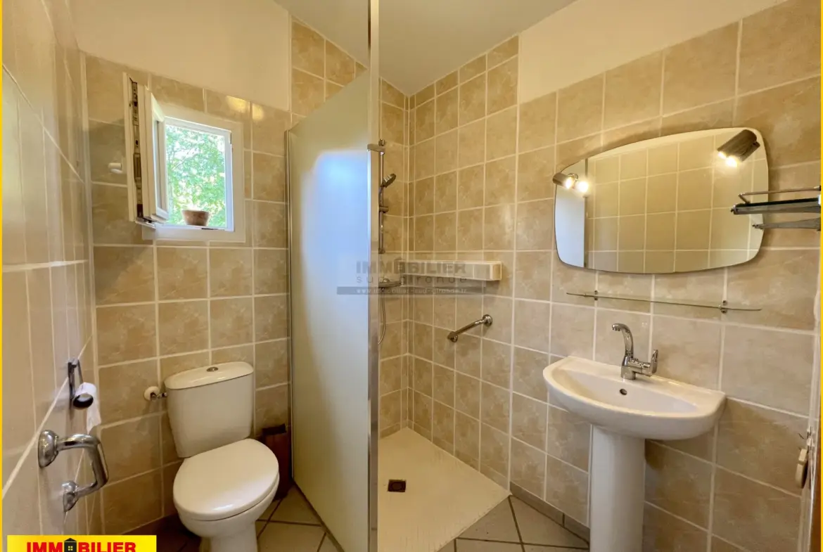 Maison en bois type chalet avec garage à Saint-Michel de Rieufret 