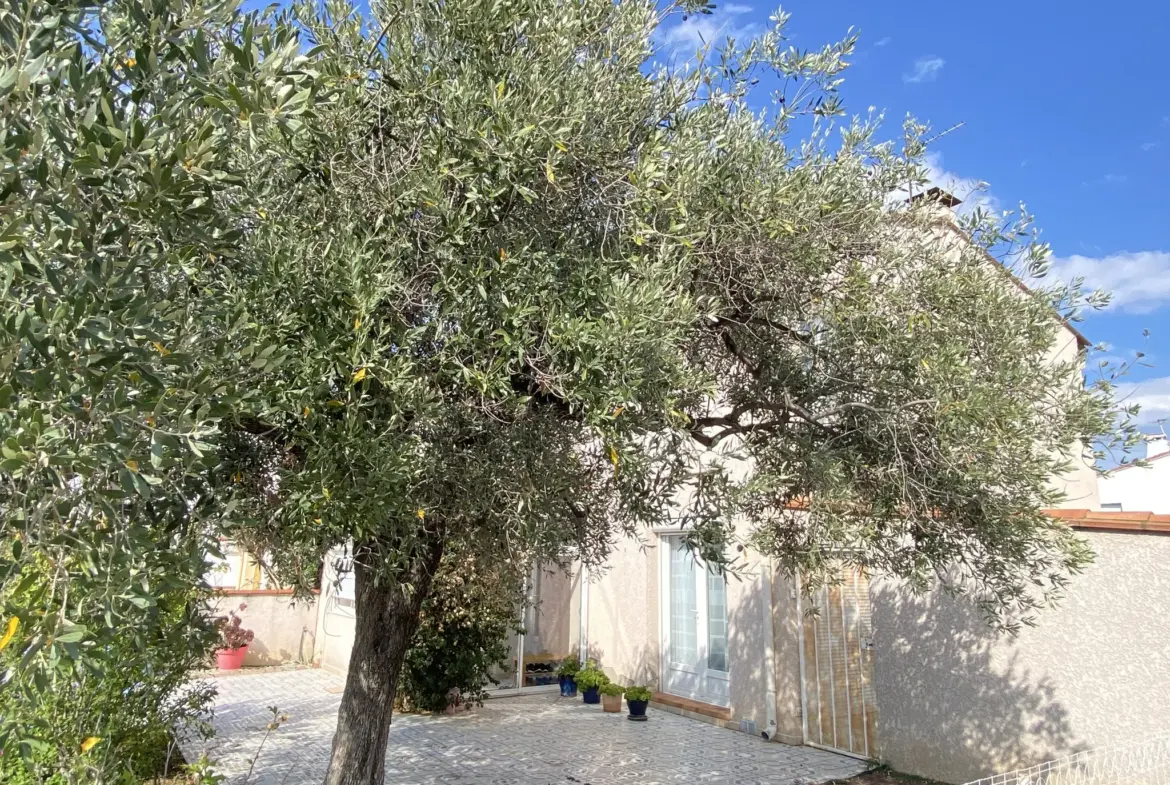 Villa 3 faces avec piscine à Saint-Estève 